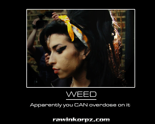 Amy Winehouse - Demotivational Posters